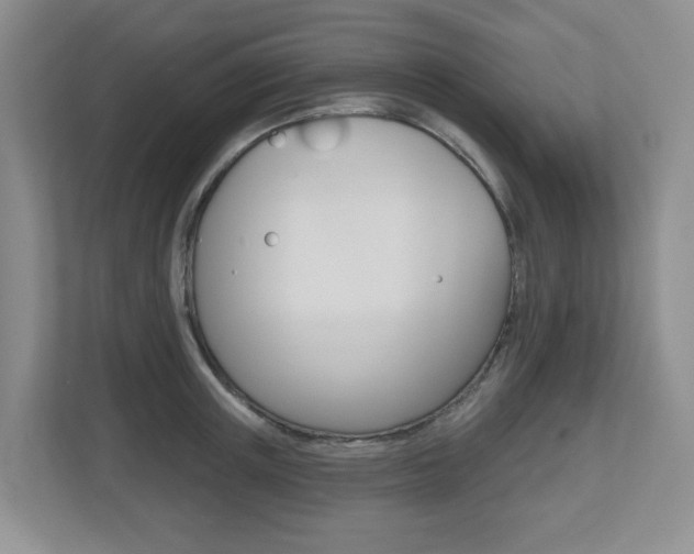 X0000112500851200908171010