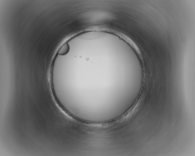 X0000112500855200908171010