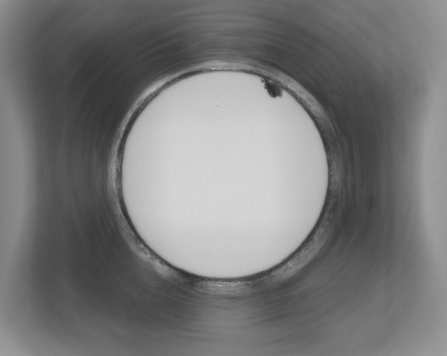 X0000112500856200908171010