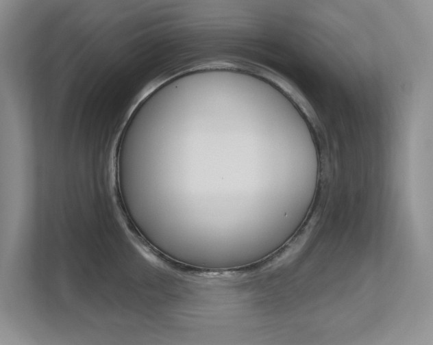 X0000112500858200908171010