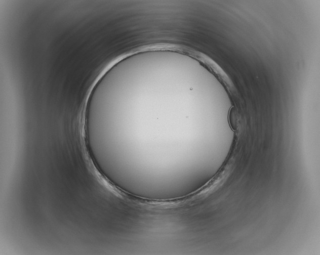 X0000112500860200908171010