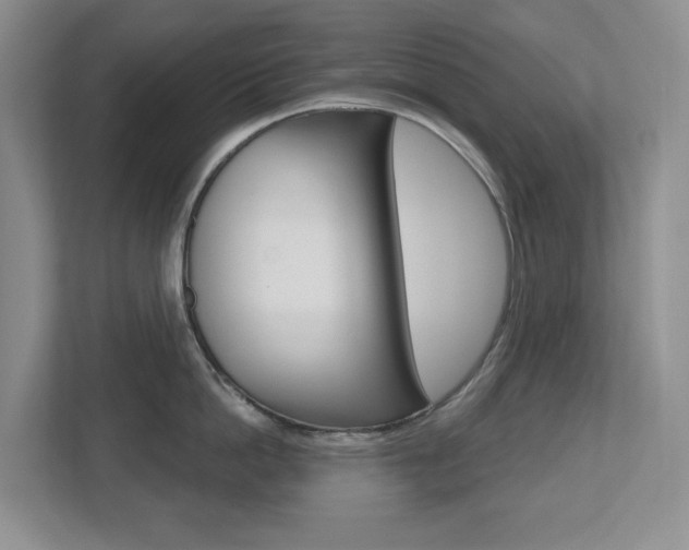 X0000112500862200908171010
