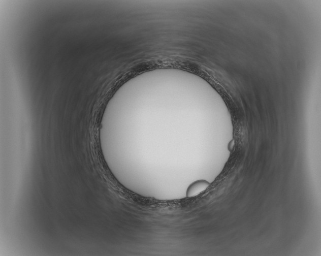 X0000112500865200908171009