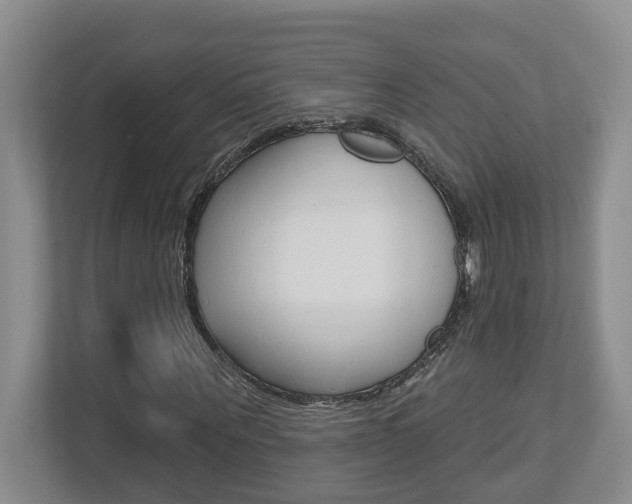 X0000112500867200908171009