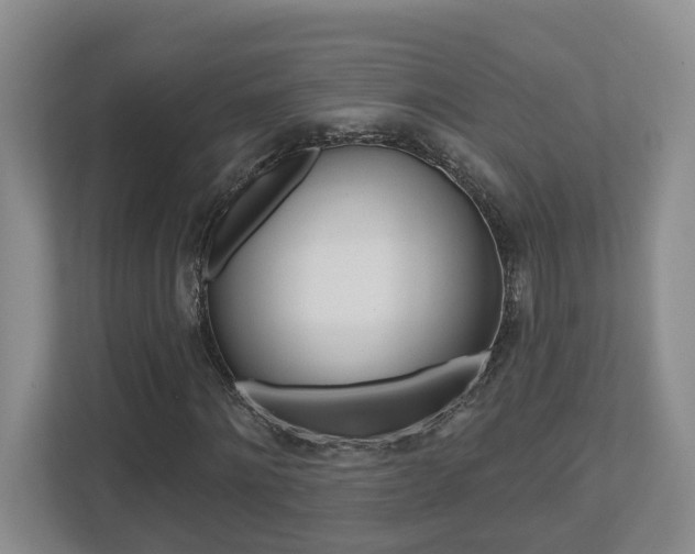 X0000112500868200908171009