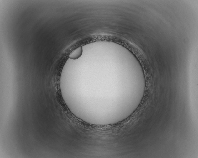 X0000112500870200908171009