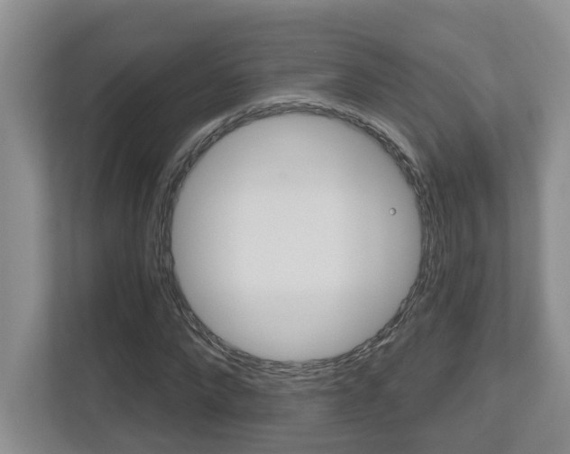 X0000112500872200908171009