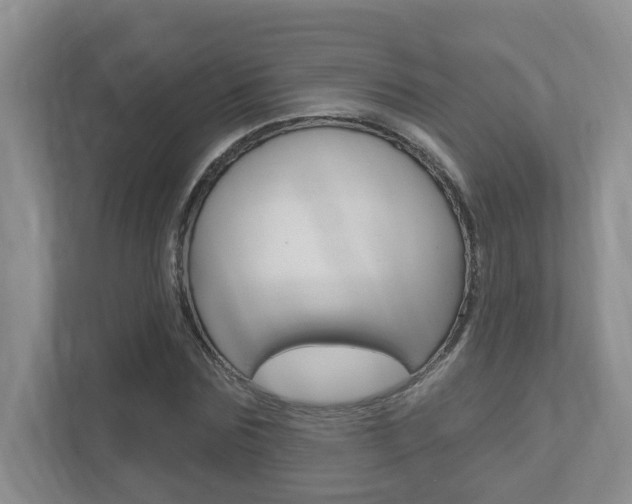 X0000112500875200908171009
