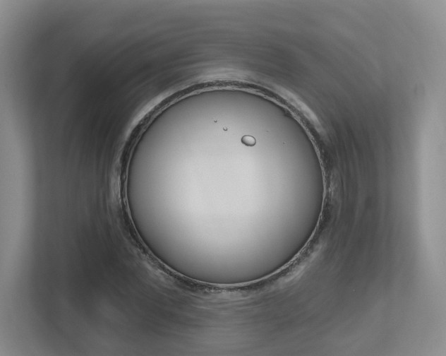 X0000112500877200908171009