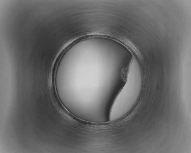 X0000112500884200908171009
