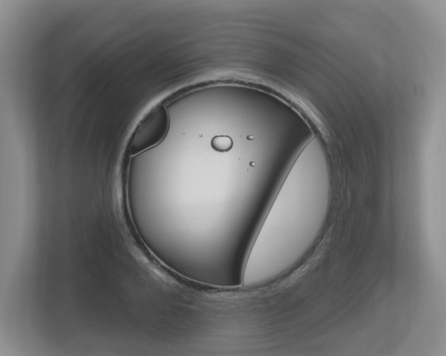 X0000112500888200908171009