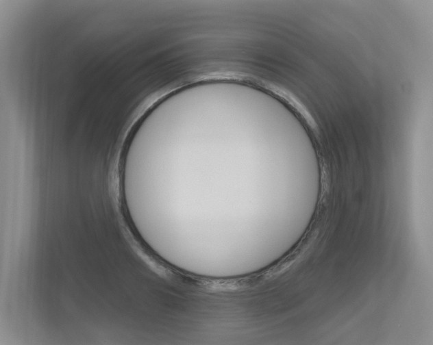 X0000112500890200908171009