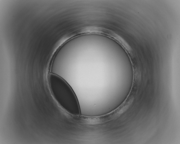 X0000112500893200908171009