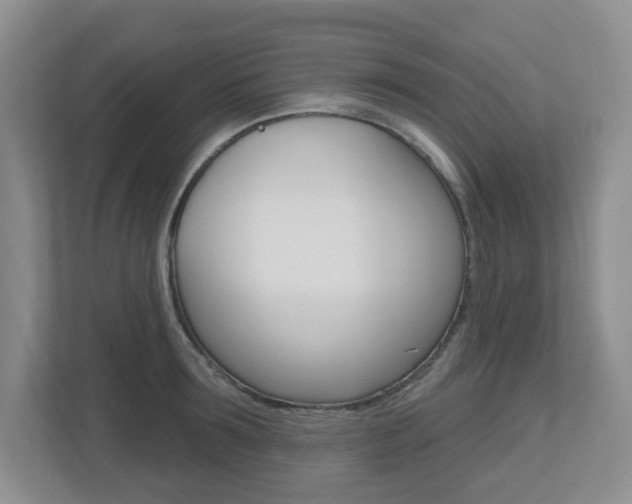 X0000112500899200908171009