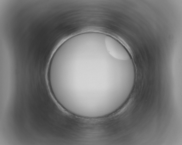 X0000112500901200908171009