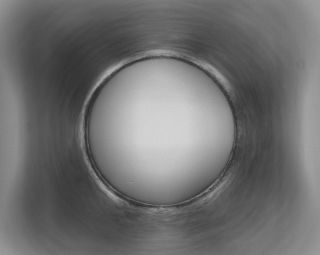 X0000112500902200908171009