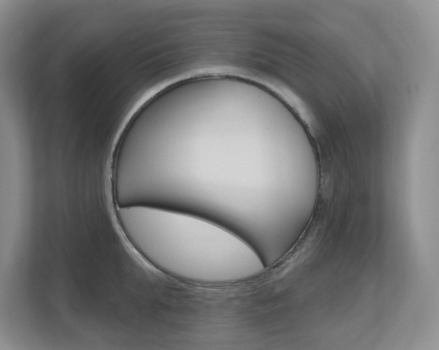X0000112500903200908171009