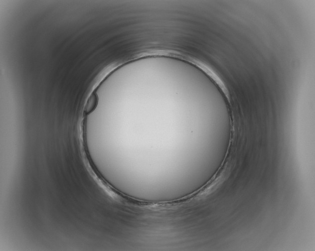 X0000112500906200908171009