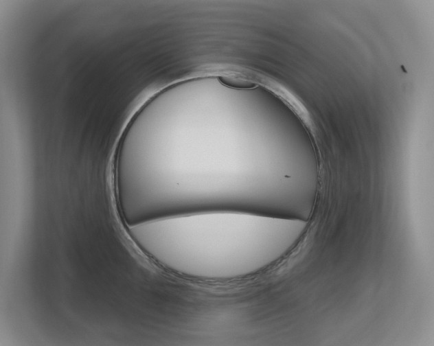 X0000112500907200908171009