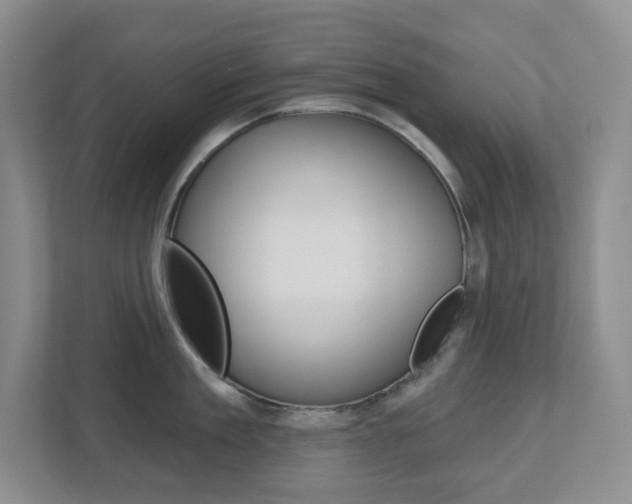 X0000112500909200908171009