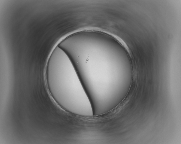 X0000112500911200908171009