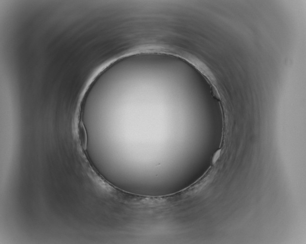 X0000112500912200908171009