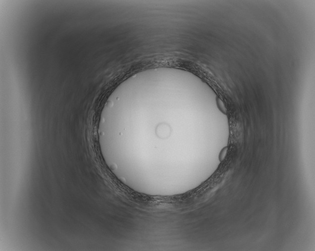 X0000112500913200908171008