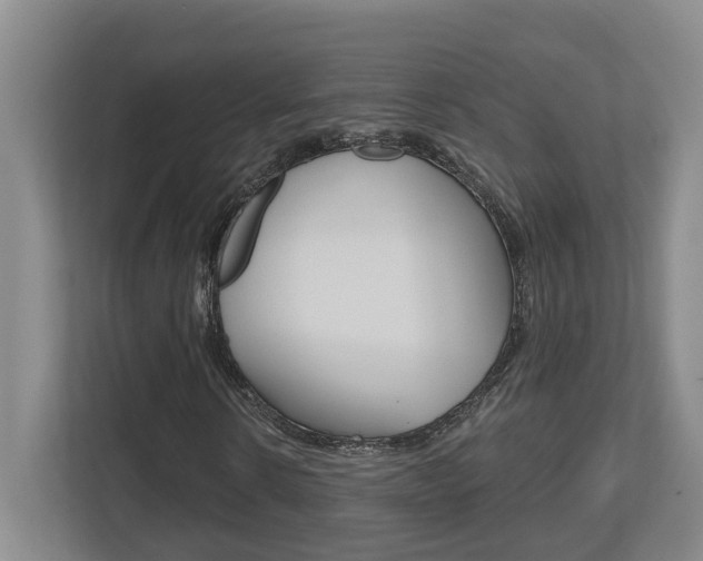 X0000112500914200908171008