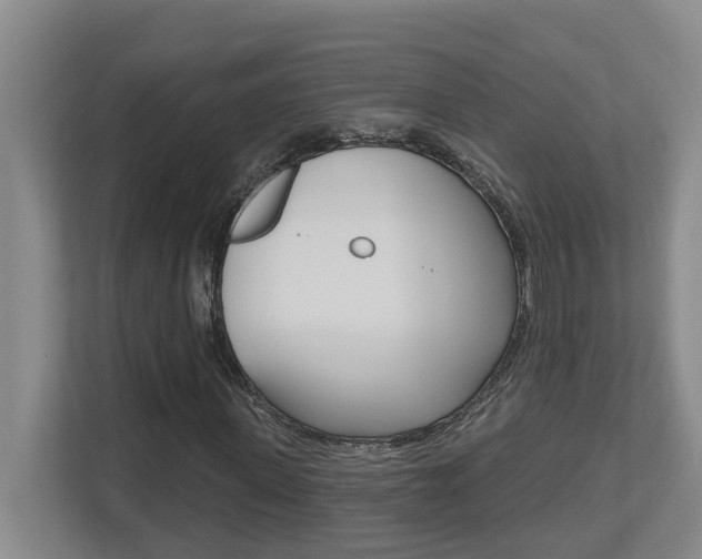 X0000112500915200908171008
