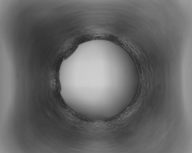 X0000112500916200908171008