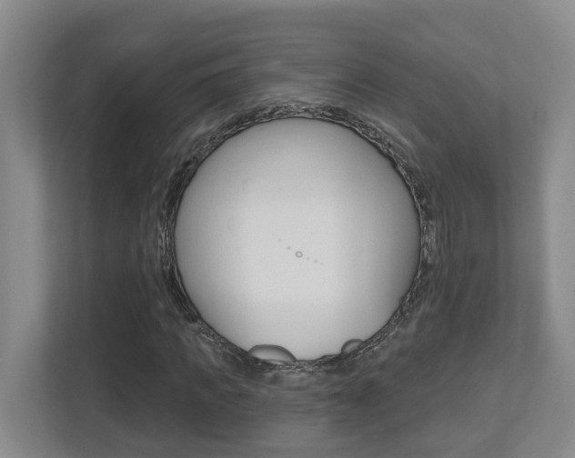 X0000112500917200908171008