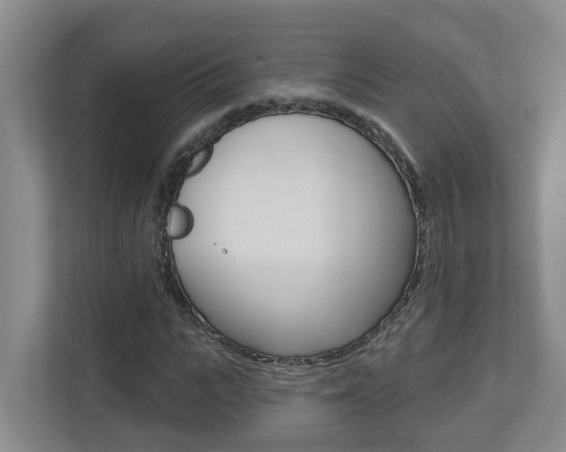 X0000112500919200908171008
