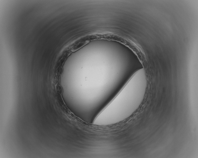X0000112500920200908171008