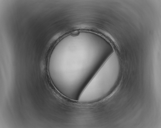 X0000112500922200908171008