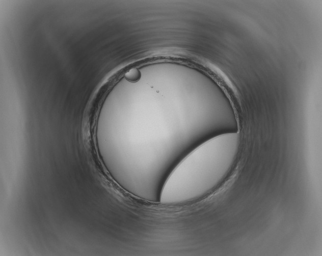 X0000112500923200908171008