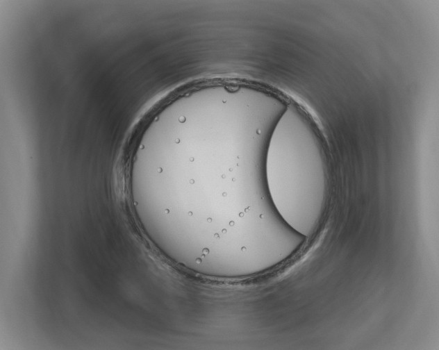 X0000112500925200908171008