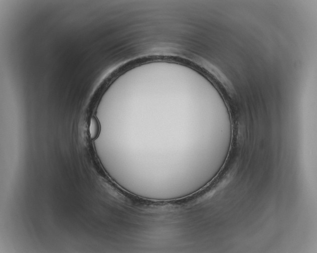 X0000112500926200908171008