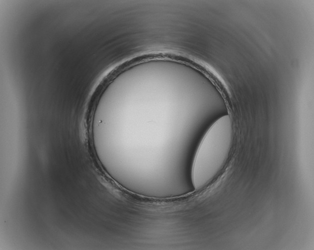 X0000112500927200908171008