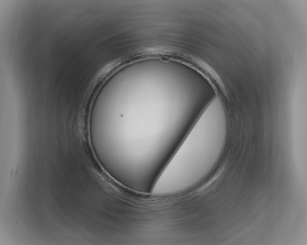 X0000112500930200908171008