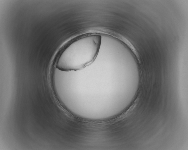 X0000112500931200908171008