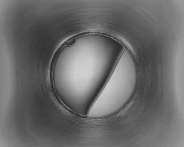 X0000112500932200908171008