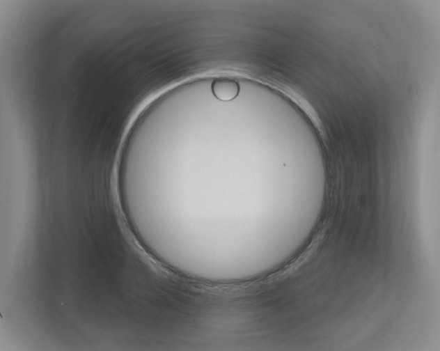 X0000112500936200908171008