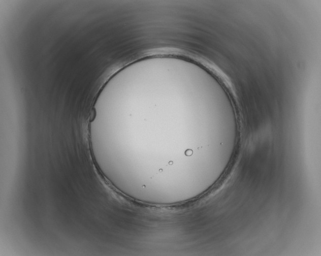 X0000112500945200908171008