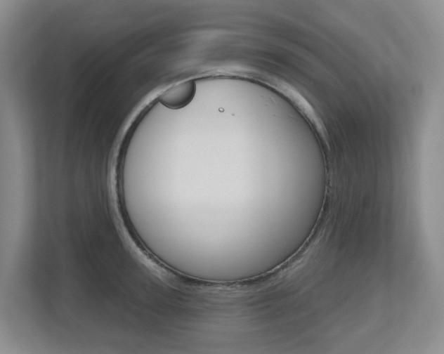 X0000112500947200908171008