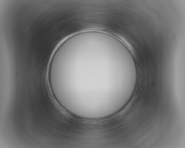 X0000112500948200908171008
