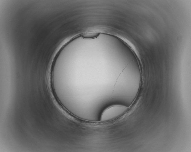 X0000112500949200908171008