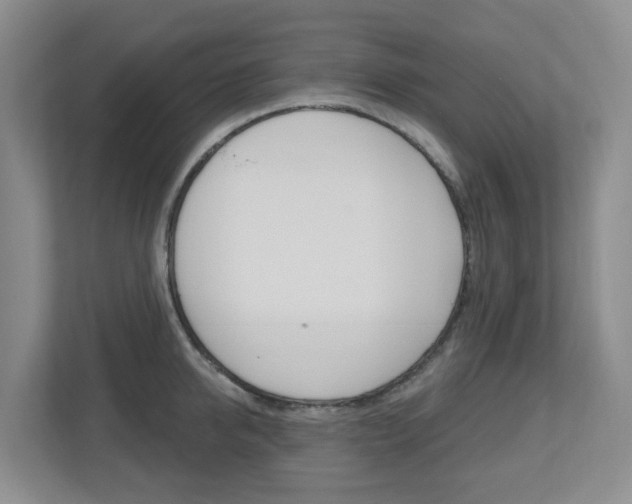 X0000112500950200908171008