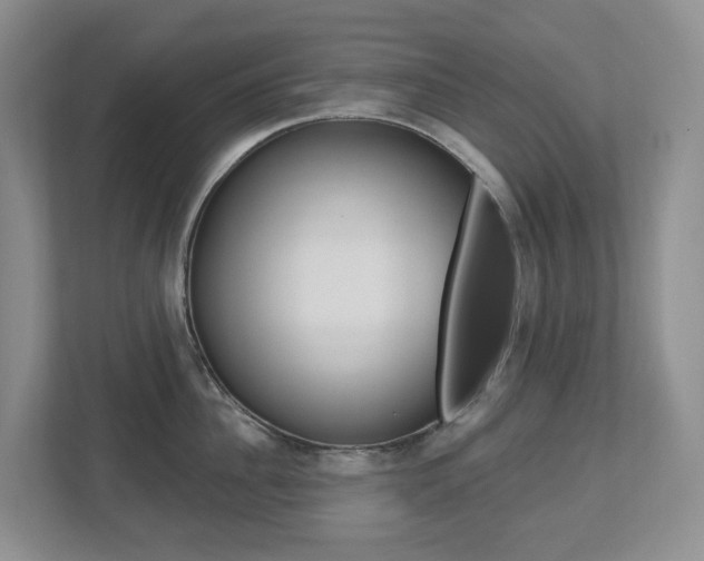 X0000112500956200908171009