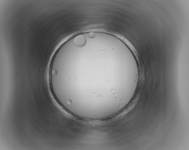 X0000112500957200908171009