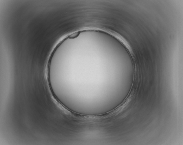 X0000112500958200908171009